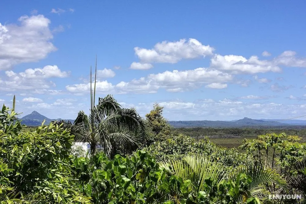 Piccolo Peregian - Pet Friendly- Peregian Beach, QLD - Oda Manzaraları