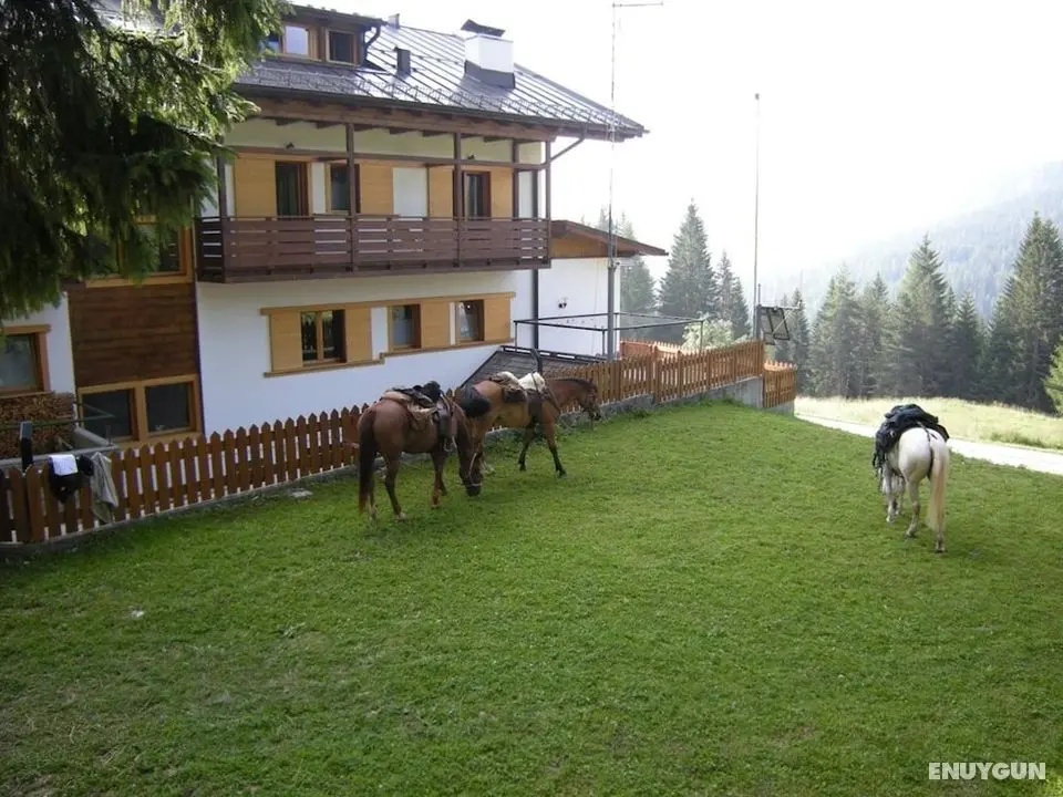 Hotel Piccolo Pocol - Öne Çıkan Resim