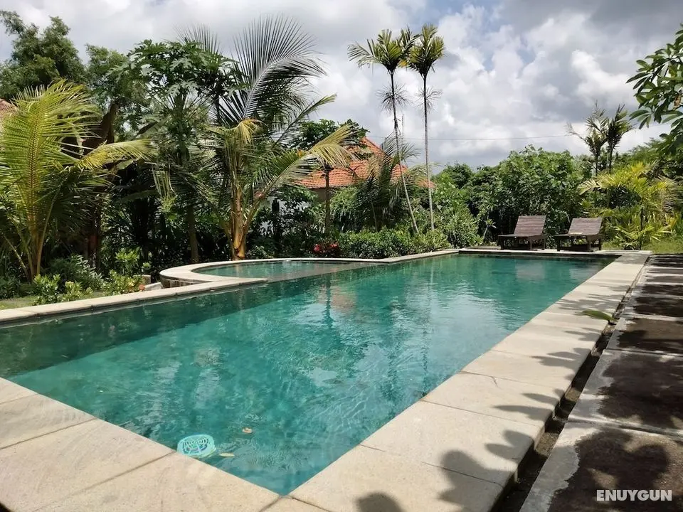 Pier26 Bali Homestay - Öne Çıkan Resim