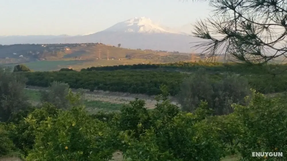 Pietre di gelo dei F.lli Valenziani - Öne Çıkan Resim