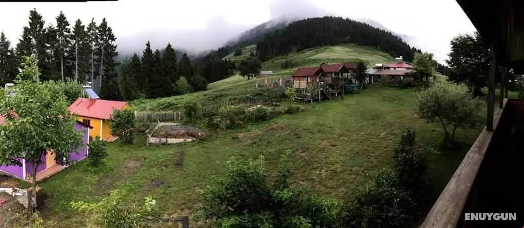 Pilav Dağı Yavuzyılmaz Tesisleri (Yates) - Manzara / Peyzaj