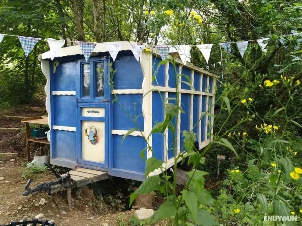 Pilgrims Shepherd's Hut - Goosewell Glynn Glamping - Öne Çıkan Resim