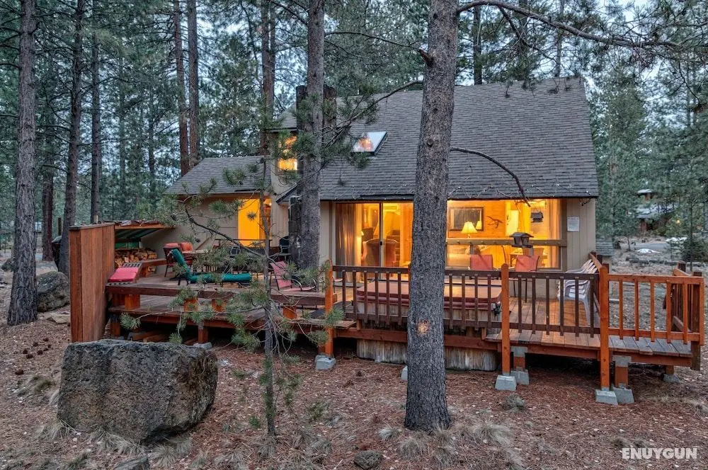 Pine Needle Lane 7 - Dış Mekan