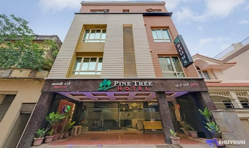 Hotel Pine Tree - Dış Mekan