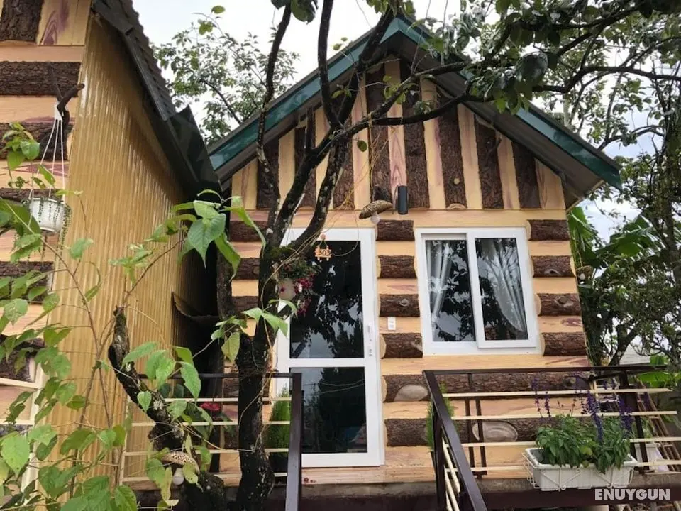Pine Tree House Da Lat - Öne Çıkan Resim