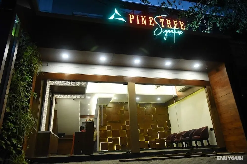 Pine Tree Signature - Öne Çıkan Resim