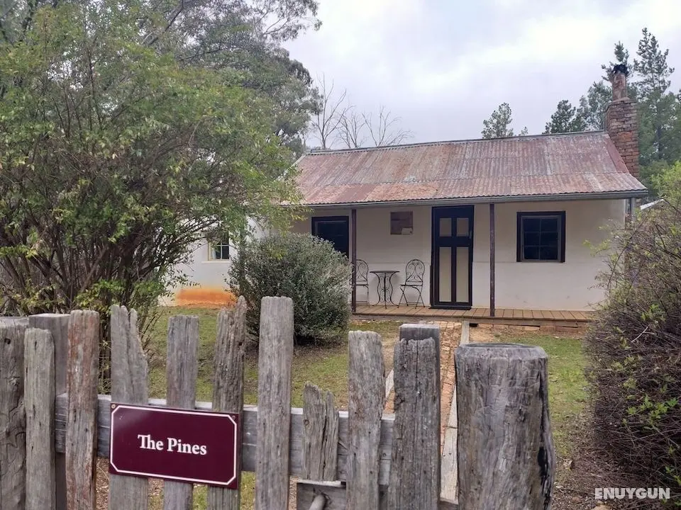 Pines Cottage - Öne Çıkan Resim