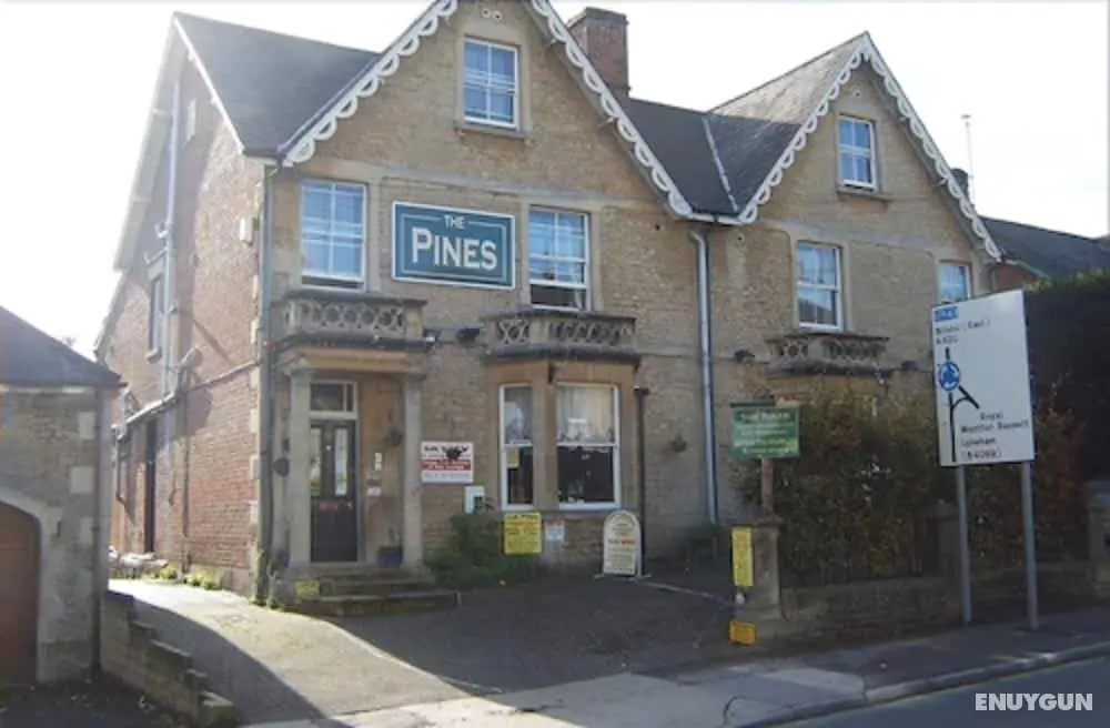 The Pines Guest Accommodation - Öne Çıkan Resim