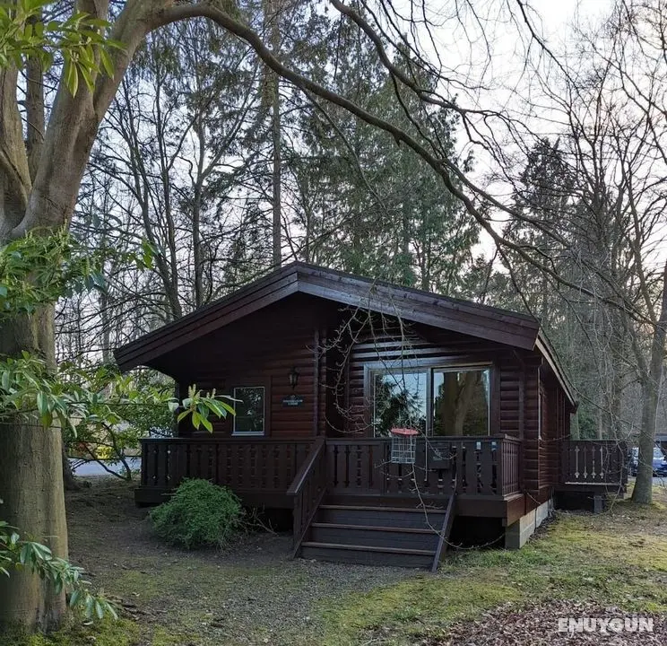 Pineshadow Lodge - Stunning 4 Bed - Kenwick Park - Dış Mekan