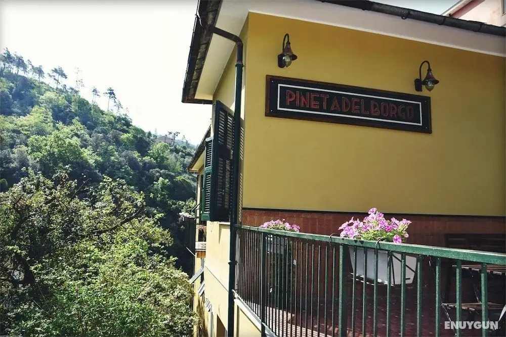 Pineta del Borgo - Dış Mekan