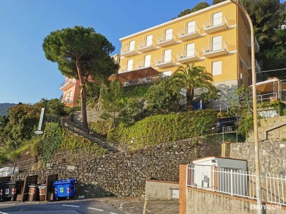 Hotel Pineta - Dış Mekan