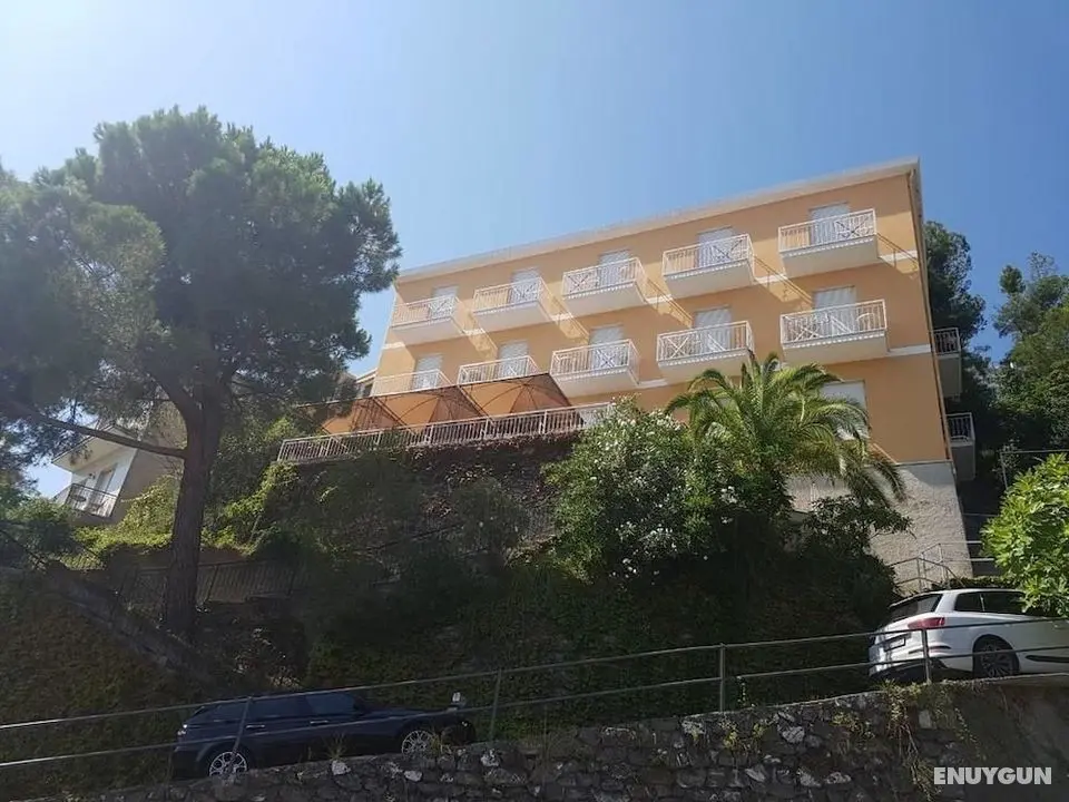 Hotel Pineta - Öne Çıkan Resim