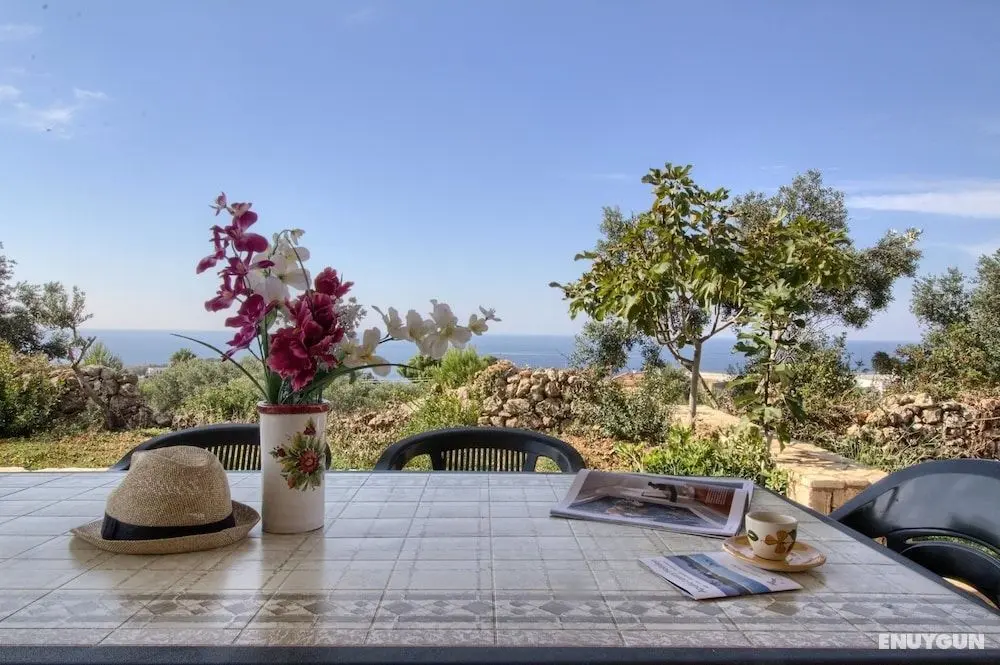 Pino Amazing Seaview - Öne Çıkan Resim