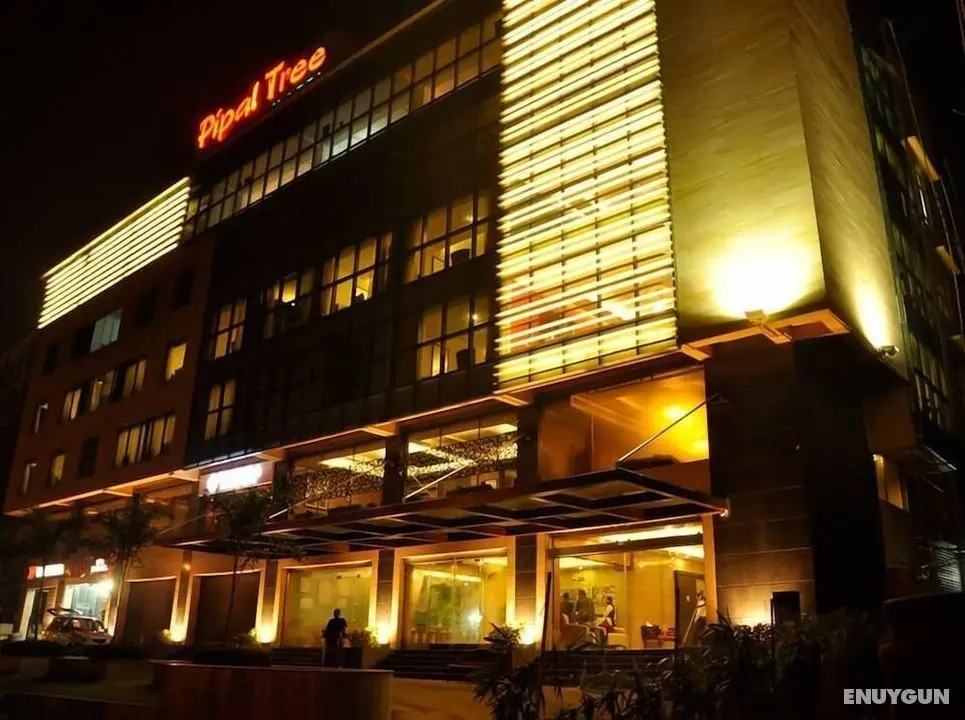 Pipal Tree Hotel - Öne Çıkan Resim