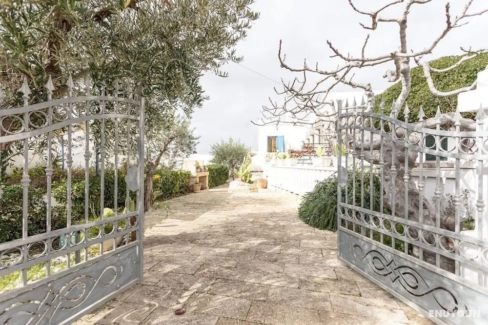 Villa Pisa 1 primo piano - Öne Çıkan Resim