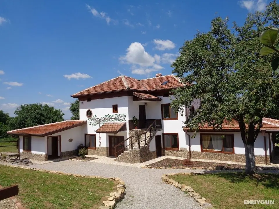 Villa Pizzutti - Öne Çıkan Resim