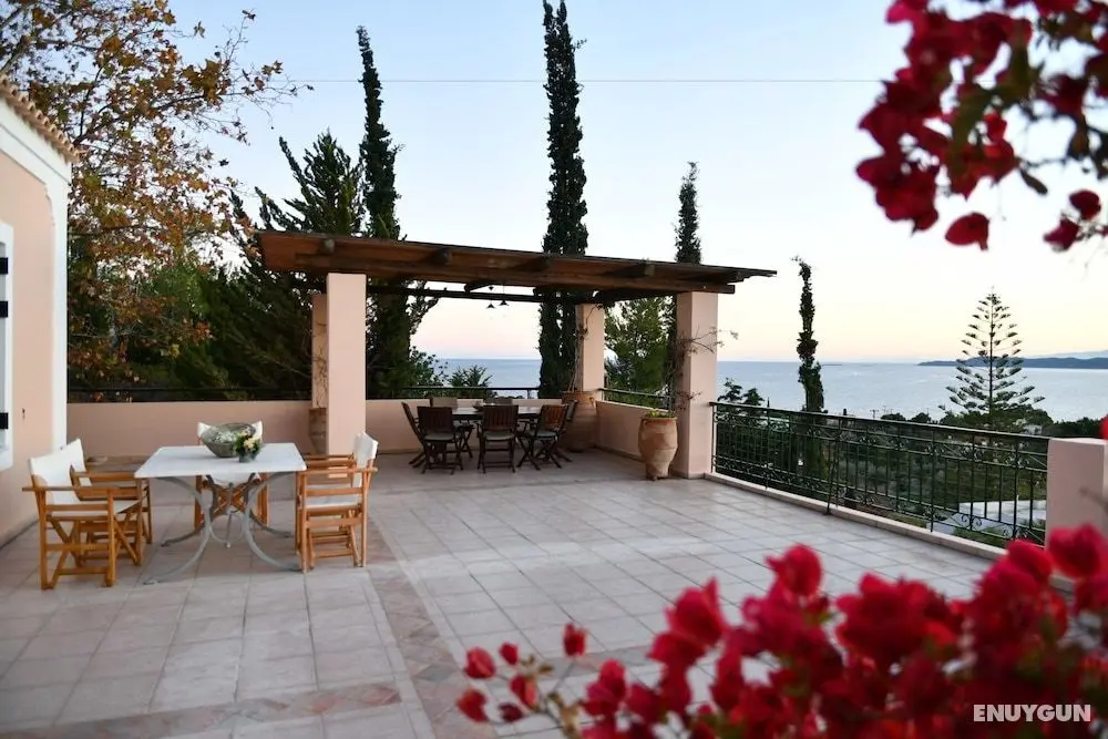Plane Tree Villa - Öne Çıkan Resim