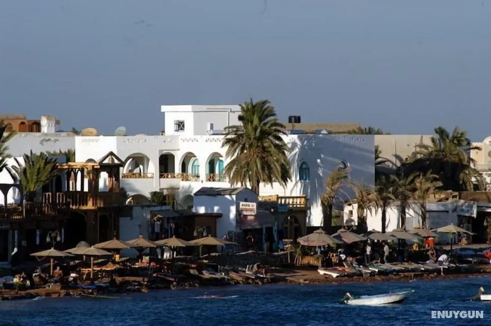 Hotel Planet Oasis - Öne Çıkan Resim