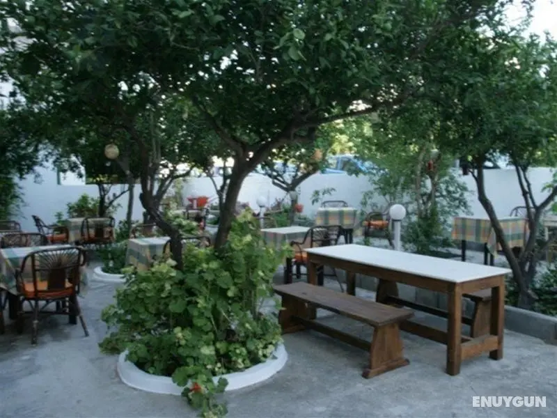 Platon Hotel - Genel