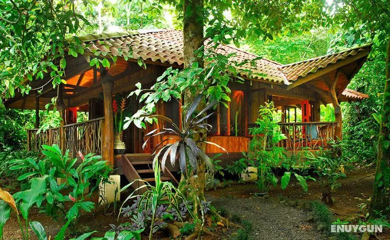 Playa Nicuesa Rain Forest Lodge - Genel