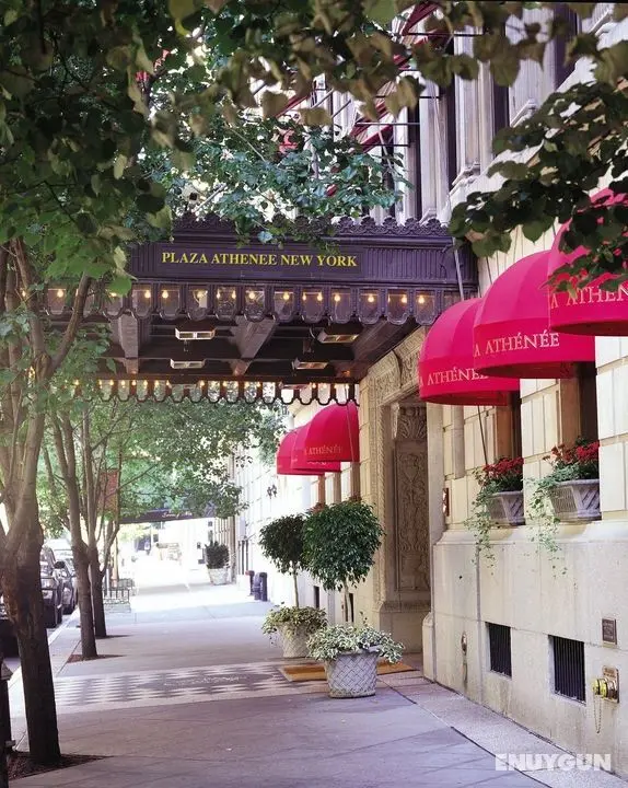 Plaza Athenee - Genel