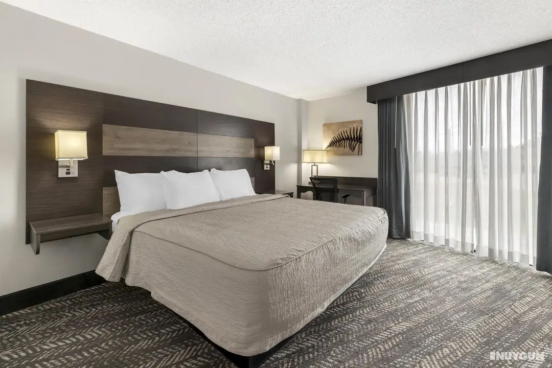 Plaza Hotel And Suites - Öne Çıkan Resim