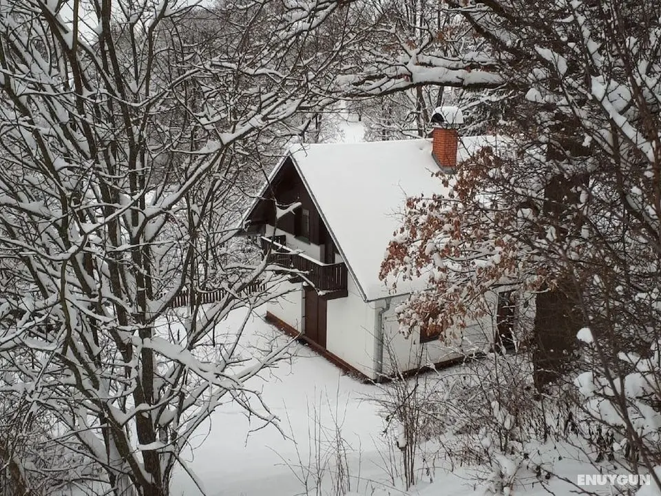 Pleasant Holiday Home in Rudnik With Private Garden and Terrace - Öne Çıkan Resim