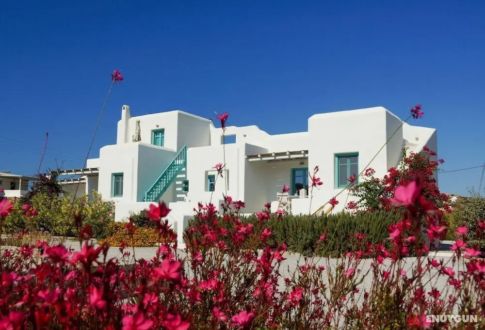 Ploes Seaside Houses - Öne Çıkan Resim