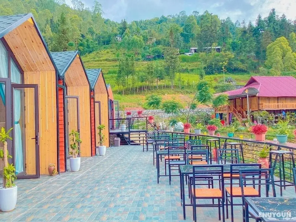 Plum Homestay - Hostel - Öne Çıkan Resim