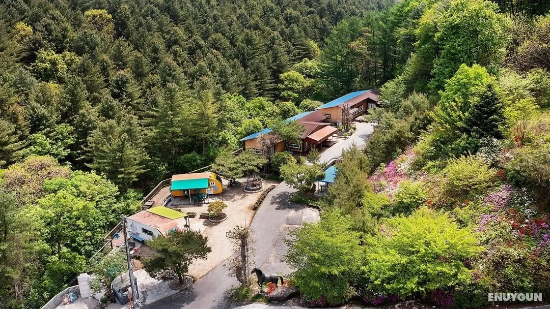 Pocheon Bearhill Pension - Dış Mekan