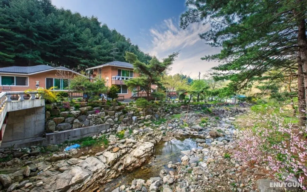 Pocheon Jatnamu Solhyanggi Pension - Misafir Tesisleri ve Hizmetleri