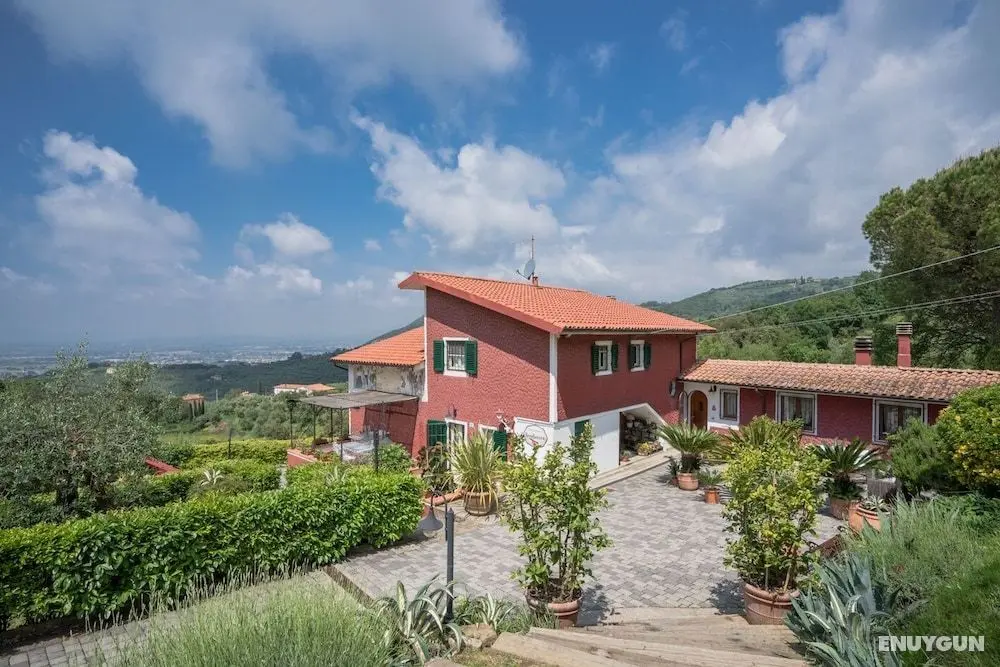 Podere Rosso Baccarà - Bed & Breakfast - Öne Çıkan Resim