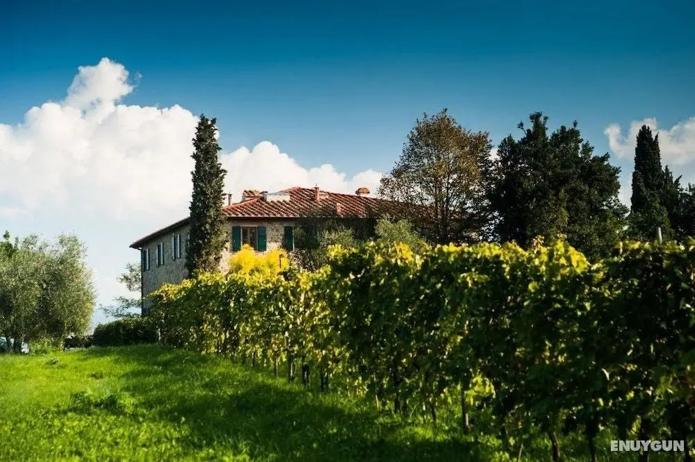 Podere Scaluccia - Dış Mekanlar