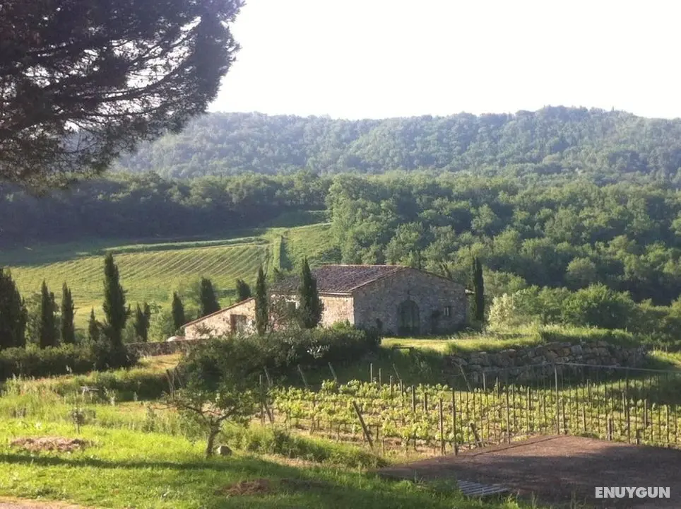 Podere Terreno alla Via della Volpaia - Dış Mekan