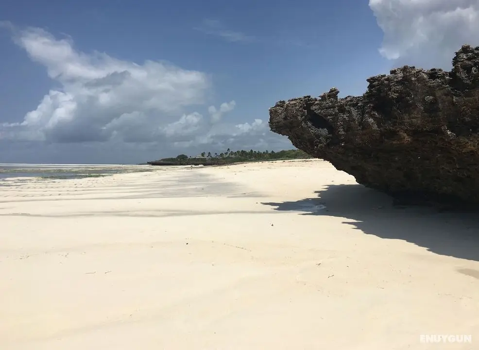 Pole Pole Beach House - Plaj