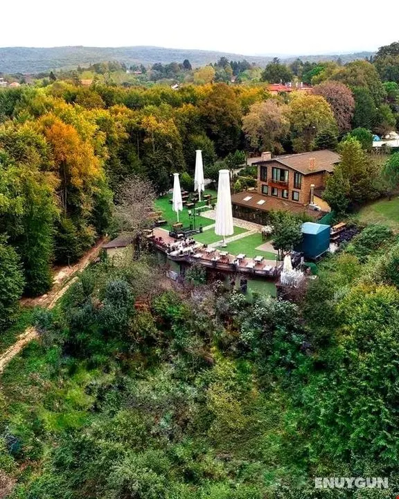 Villa Polonez Butik Otel - Genel