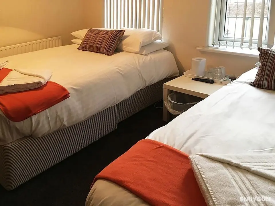 Polygon Guest House - Öne Çıkan Resim