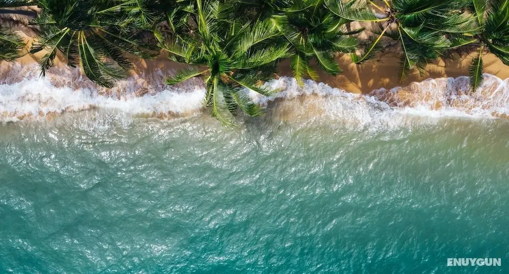 Polynesian Cabins by Kon Tiki - Oda