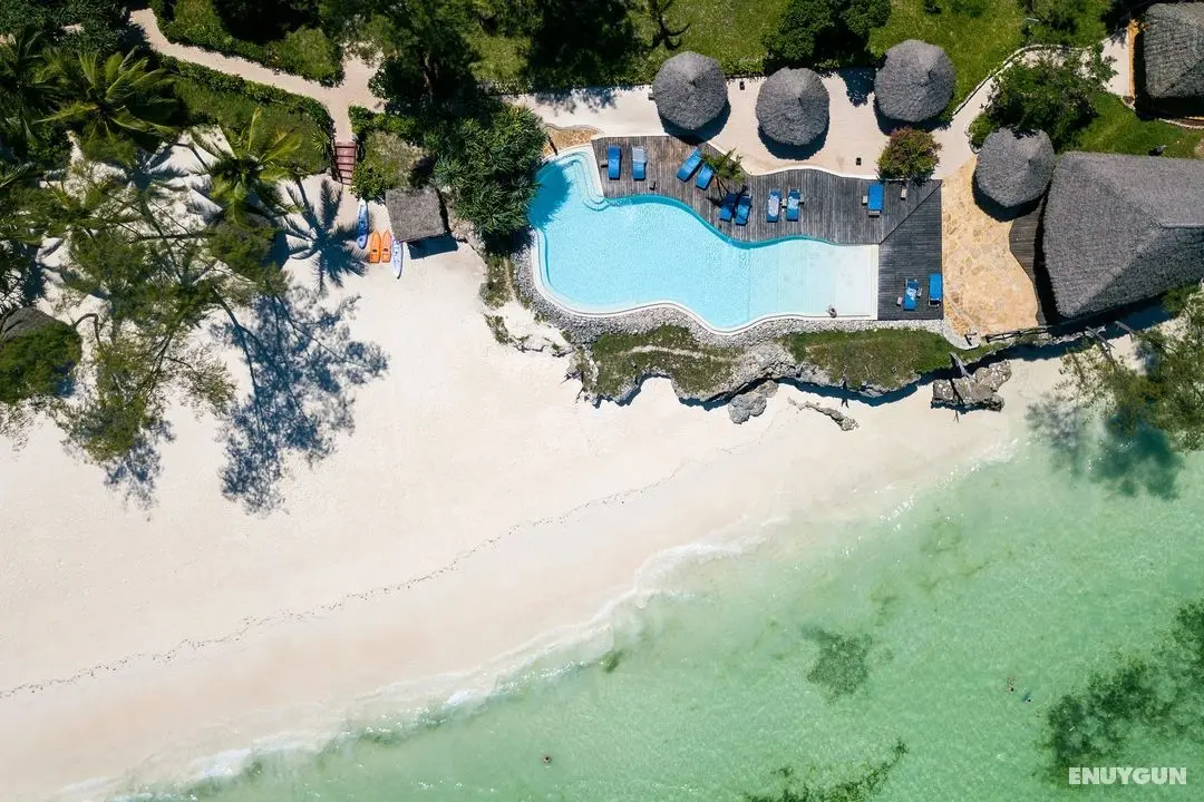Pongwe Beach Hotel - Genel