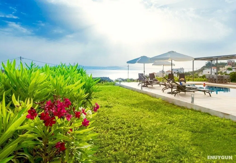 Pool Villa Stella Crete 500mt From sea - Dış Mekanlar