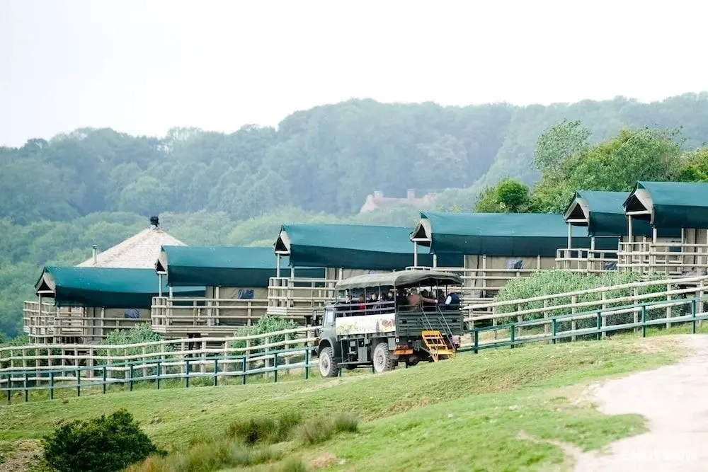 Port Lympne Reserve - Livingstone Lodge - Öne Çıkan Resim