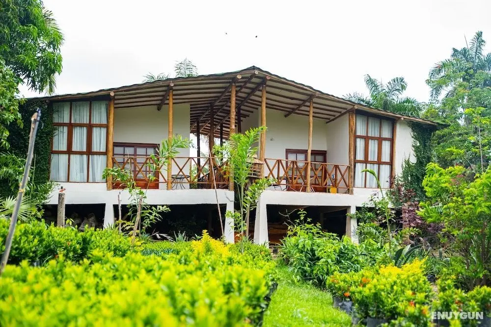 Hotel Portales del Tayrona - Öne Çıkan Resim