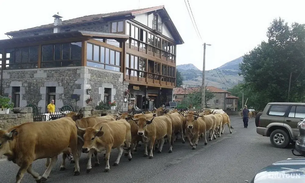 Posada el Mirador - Öne Çıkan Resim