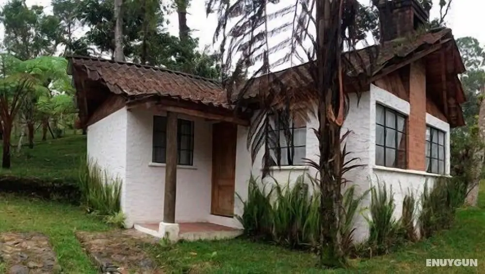 Hotel Posada Montaña del Quetzal - Öne Çıkan Resim