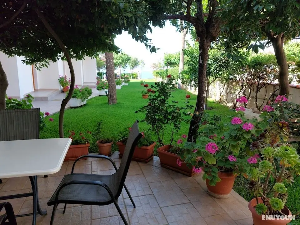 Posidonia Pension - Öne Çıkan Resim