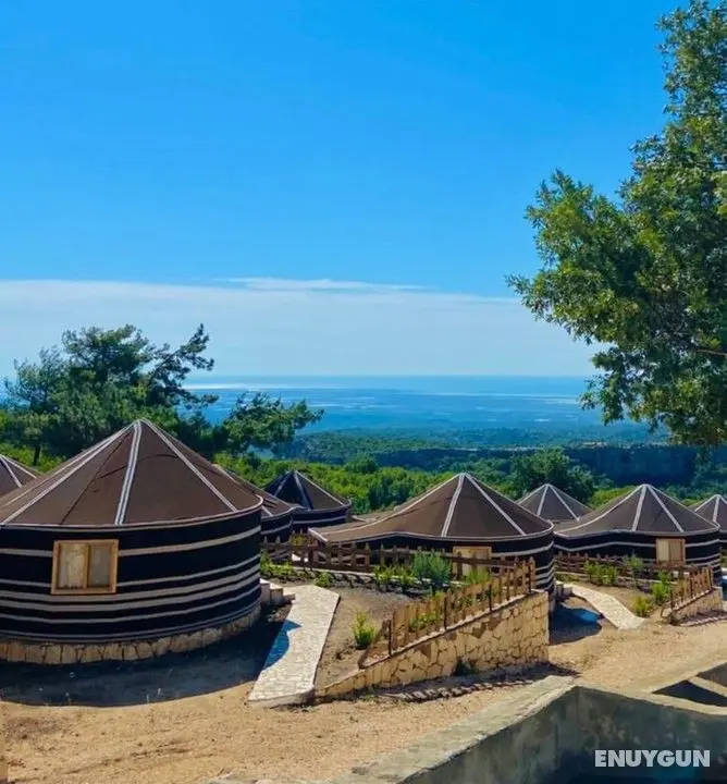 Pozitif Koy - Genel