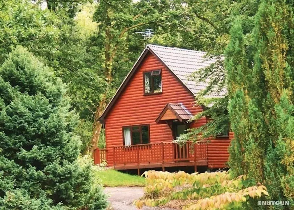 Prancing Hare Lodge Hot Tub - Öne Çıkan Resim