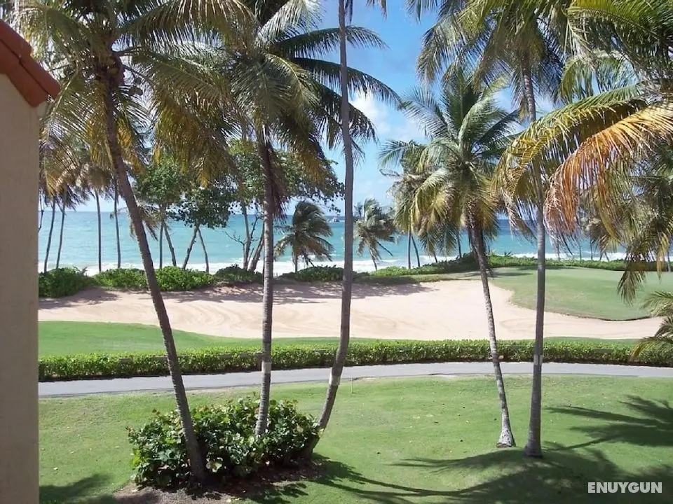 Premier Oceanfront Spectacular View Villa in Palmas Del Mar Bv231 - Oda