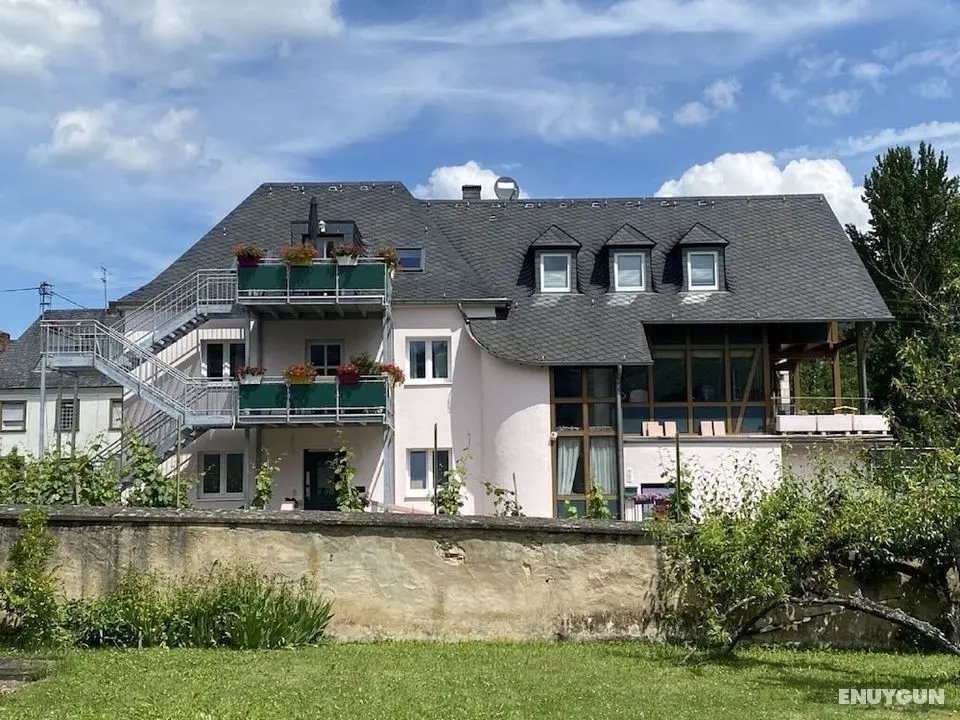 Pretty Flat in Trittenheim Between the Vines and the Moselle - Öne Çıkan Resim