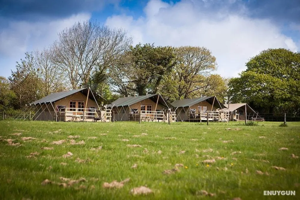 Primrose Farm Holidays - Dış Mekan